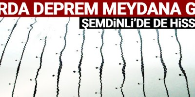 Sınırda deprem! Şemdinli'de de hissedildi
