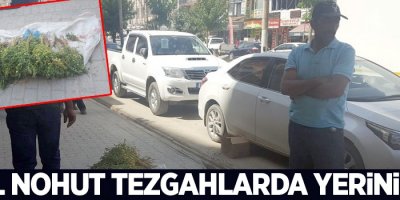 Yeşil Nohut tezgahlarda yerini aldı