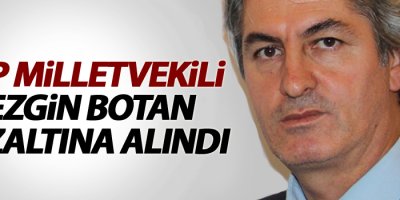 Lezgin Botan, gözaltına alındı