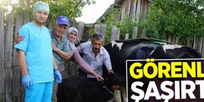 109 kilo ağırlığında doğan buzağı görenleri şaşırttı