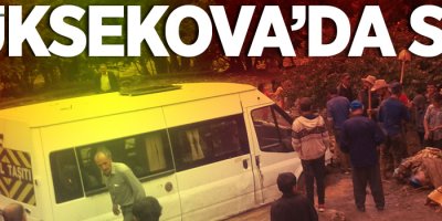 Yüksekova'da yağış sele neden oldu