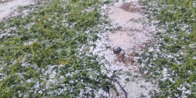 Aniden bastıran dolu, mahsullere zarar verdi