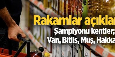 Rakamlar açıklandı... Şampiyonu kentler; Van, Bitlis, Muş, Hakkari