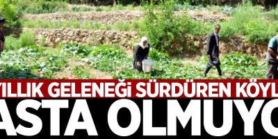 200 yıllık geleneği sürdüren köylüler hasta olmuyor