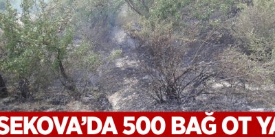 Yüksekova’da 500 bağ ot yandı