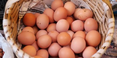 Belçika’dan Hollanda'ya yumurta suçlaması