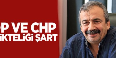 Sırrı Süreyya Önder: HDP ve CHP birlikteliği şart