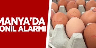 Almanya'da Fipronil alarmı