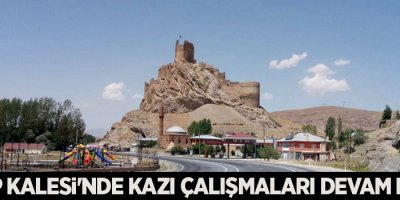 Hoşap Kalesi'nde kazı çalışmaları devam ediyor