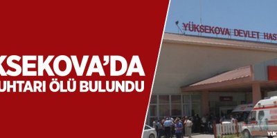 Yüksekova'da köy muhtarı ölü bulundu