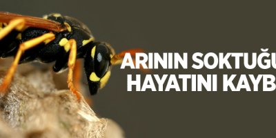 Arının soktuğu kişi hayatını kaybetti