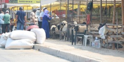 Kurbanlıklara eziyetli satış