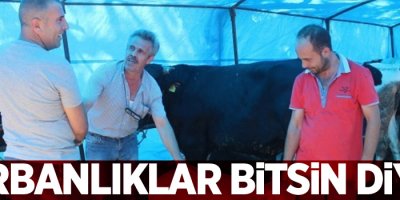 Kurbanlıklar bitsin diye...