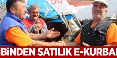 Sahibinden satılık e-kurbanlık