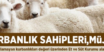 Kurbanlık sahiplerine müjde!