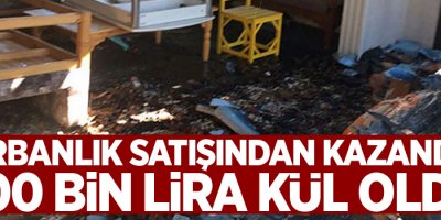 Kurbanlık satışından kazandığı 800 bin lira kül oldu