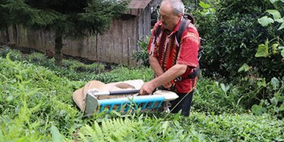 Geliştirdiği makineyle günde 1 ton çay topluyor