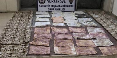 Van'a giden kargo aracında...