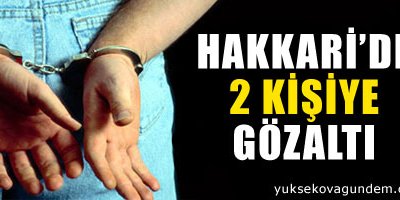 Hakkari'de 2 kişiye gözaltı