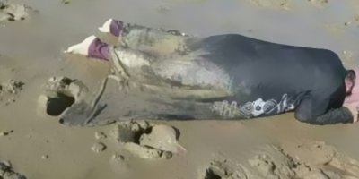 İnsanlık bir kez daha kıyıya vurdu!