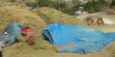 Çiftçilerin patoz mesaisi başladı