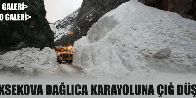 Yüksekova-Dağlıca Karayoluna Çığ Düştü