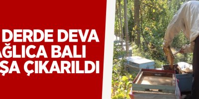 Her derde deva Dağlıca balı satışa çıkarıldı