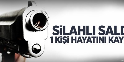 Van'da silahlı saldırı: 1 kişi hayatını kaybetti