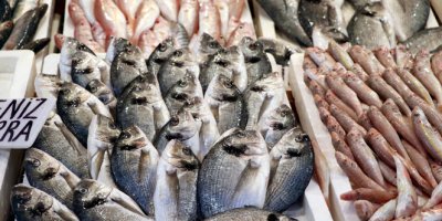 Fiyatlar yarı yarıya düştü