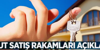 Van’da konut satış rakamları açıklandı