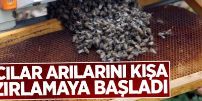 Arıcılar arılarını kışa hazırlamaya başladı