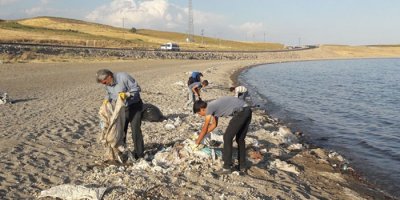 Van Gölü’nün sahilinde çevre temizliği yapıldı