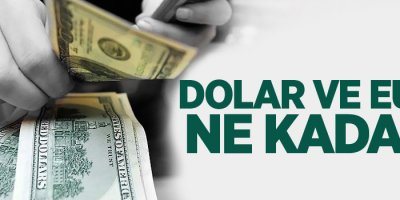 Dolar ve euro ne kadar?