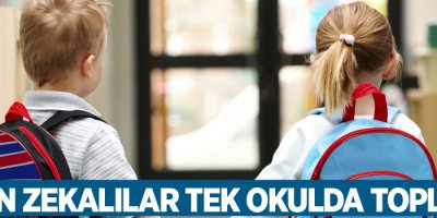 Üstün zekalılar tek okulda toplandı