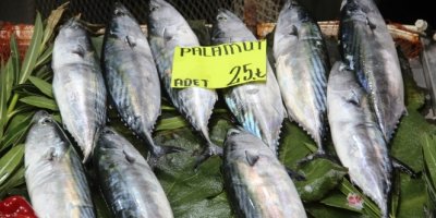 balık fiyatları el yakıyor