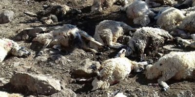 Uyandığında dehşet verici manzara ile karşılaştı