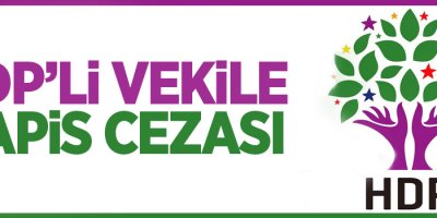 HDP Milletvekiline 6 yıl hapis cezası