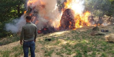 Şemdinli'de bin bağ ot yandı