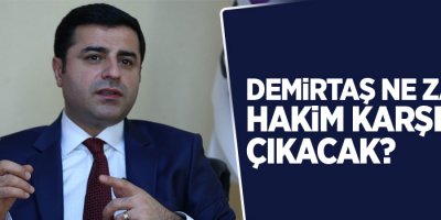 Kaynak: Demirtaş ne zaman hakim karşısına çıkacak?