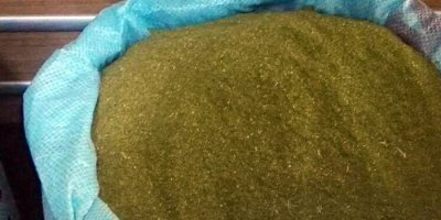 168 kilo toz esrar ele geçirildi