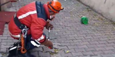 İtfaiyeden zehirli yılan operasyonu