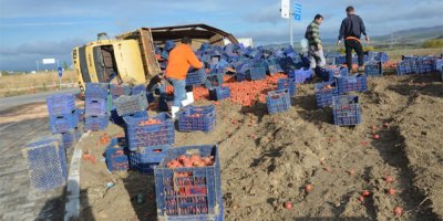 Domates yüklü kamyon devrildi