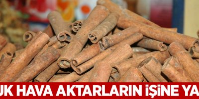 Soğuk hava aktarların işine yaradı