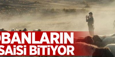Havalar soğudu çobanların mesaisi bitiyor