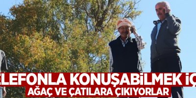 Telefonla konuşabilmek için ağaç ve çatılara çıkıyorlar