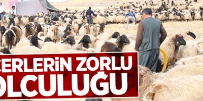 Göçerlerin zorlu yolculuğu