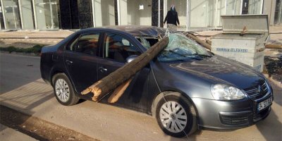 Çürüyen telefon direği otomobilin üzerine düştü