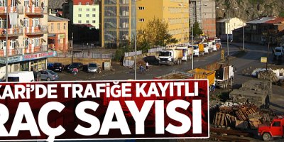 Hakkari'de trafiğe kayıtlı araç sayısı