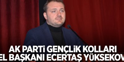 AK Parti Gençlik Kolları Genel Başkanı Ecertaş Yüksekova’da