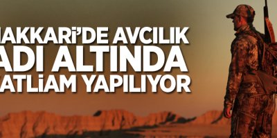 'Hakkari de avcılık adı altında katliam yapılıyor'